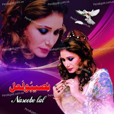 Dil Ronda Aye - Naseebo Lal cover album