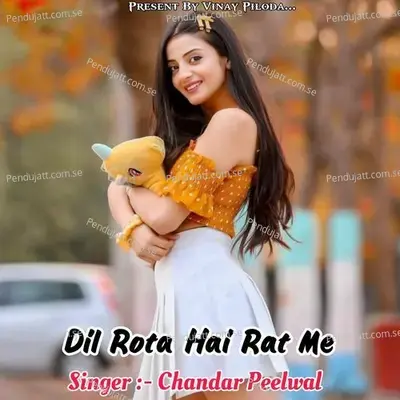 Dil Rota Hai Rat Me - Chandar Peelwal album cover 