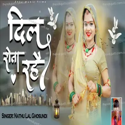 Dil Rota Rahe - Nathu Lal Ghosundi album cover 