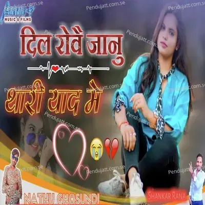 Dil Rove Janu Thari Yad Mein - Shankar Rana album cover 