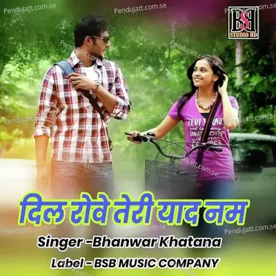Dil Roye Teri Yaad Nam - Bhanwar Khatana album cover 
