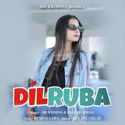 Dil Ruba - Mr Krishna album cover 