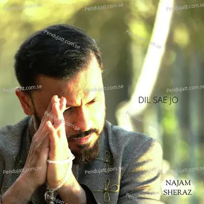 Dil Sae Jo - Najam Sheraz album cover 