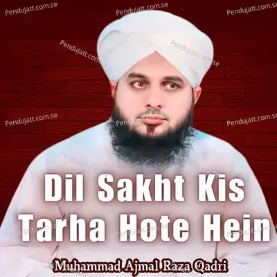 Dil Sakht Kis Tarha Hote Hein - Muhammad Ajmal Raza Qadri album cover 