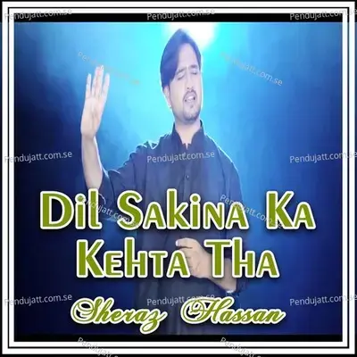 Dil Sakina Ka Kehta Tha - Sheraz Hassan album cover 