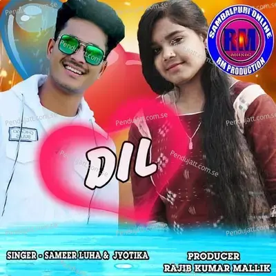 Dil - Sameer Luha album cover 