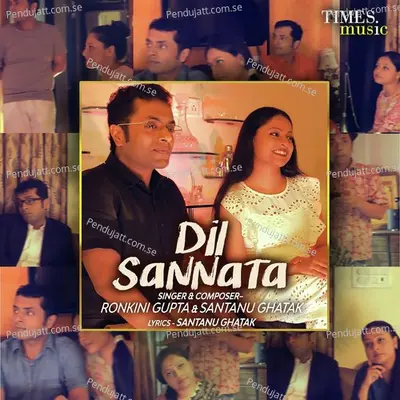 Dil Sannata - Ronkini Gupta album cover 