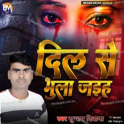 Dil Se Bhula Jaih - Subhash Diwana album cover 