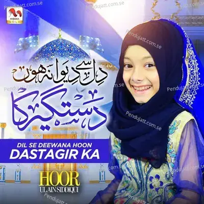 Dil Se Deewana Hoon Dastagir Ka - Hoor ul Ain Siddiqui album cover 