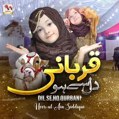 Dil Se Ho Qurbani - Hoor ul Ain Siddiqui album cover 
