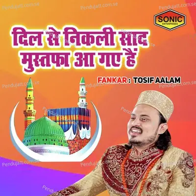 Dil Se Nikli Saad Mustafa Aa Gaye Hain - Tosif Aalam album cover 
