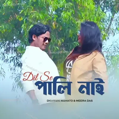 Dil Se Paali Nai - Dharani Mahato album cover 