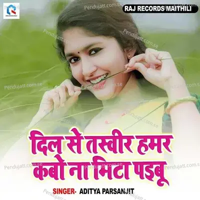 Dil Se Tasveer Hamar Kabo Na Mita Paibu - Aditya Parsanjit album cover 