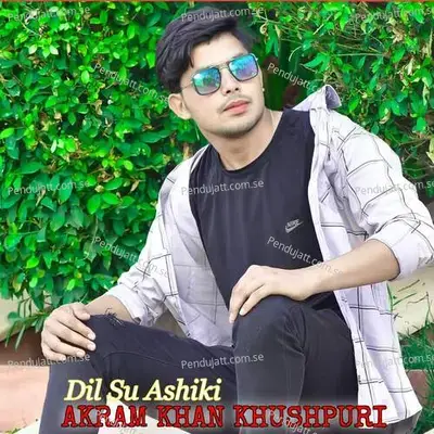 Dil Su Ashiki - Aslam Singer Mewati album cover 