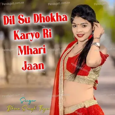 Dil Su Dhokha Karyo Ri Mhari Jaan - Dhara Singh Tiger album cover 