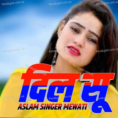Dil Su - Aslam Singer Mewati album cover 