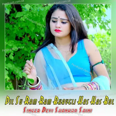Dil Su Ram Ram Bhayeli Has Has Bol - Devi Shankar Saini album cover 
