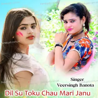 Dil Su Toku Chau Mari Janu - Veersingh Banota album cover 