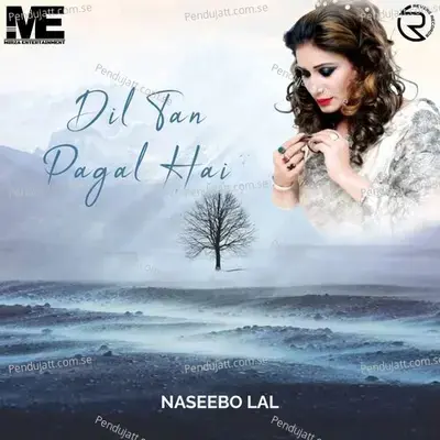 Dil Taan Pagal Hai - Naseebo Lal album cover 
