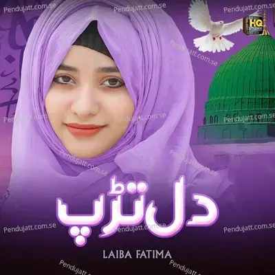 Dil Tadap - Laiba Fatima album cover 
