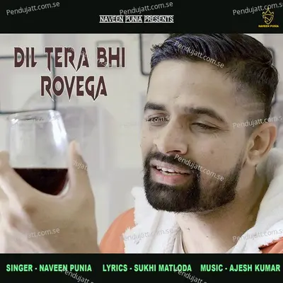 Dil Tera Bhi Rovega - Naveen Punia album cover 