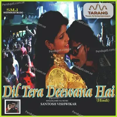 Dil Tera Deewana Hai - Santosh Vishwikar cover album