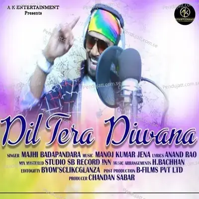 Dil Tera Deewana - Majhi Badapandara album cover 