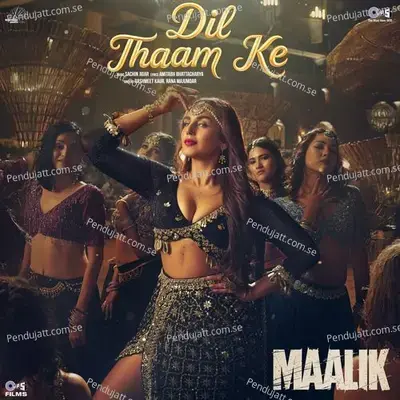 Dil Thaam Ke - Amitabh Bhattacharya album cover 