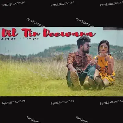 Dil Tin Deewana - Raju Soren album cover 