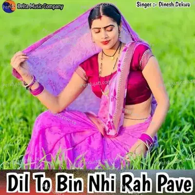 Dil To Bin Nhi Rah Pave - Dinesh Dekwa album cover 