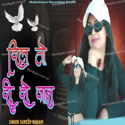 Dil To Dido Janu - Suresh Shikari album cover 