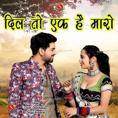 Dil To Ek Hai Mharo - Salim Shekhawas album cover 