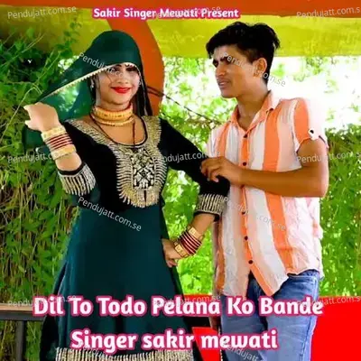 Dil To Todo Pelana Ko Bande - Sakir Singer Mewati album cover 