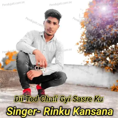 Dil Tod Chali Gyi Sasre Ku - Rinku kansana album cover 