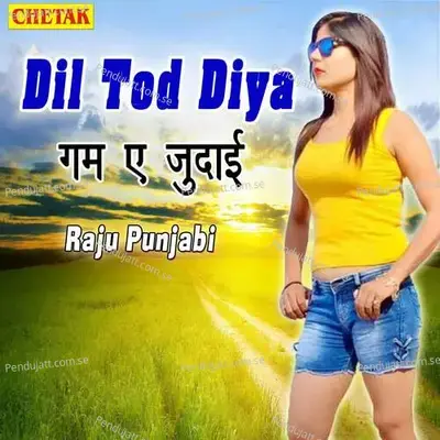 Dil Tod Diya - Raju Punjabi album cover 