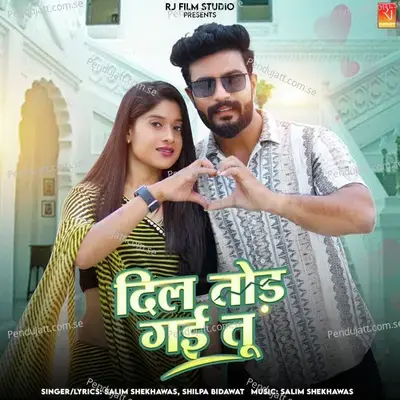 Dil Tod Gai Tu - Salim Shekhawas