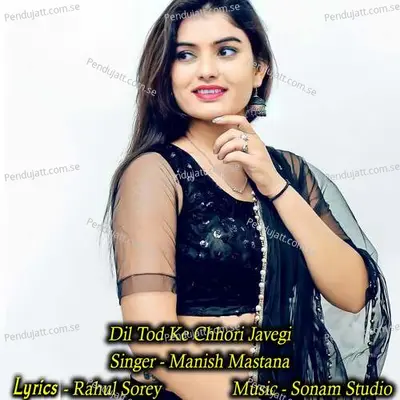 Dil Tod Ke Chhori Javegi - Manish Mastana album cover 