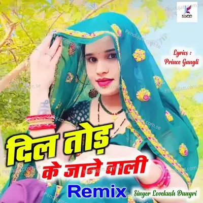 Dil Tod Ke Janne Wali - Lovekush Dungri album cover 