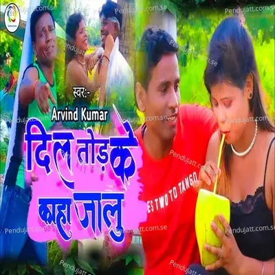 Dil Tod Ke Kaha Jalu - Arvind Kumar album cover 