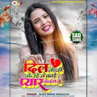 Dil Todahi Ke Rahe Ta Kahe Pyar Kaela Tu - Alka Singh Pahadiya album cover 