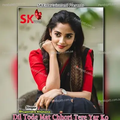 Dil Tode Mat Chhori Tere Yar Ko - Bhupendra Khatana album cover 