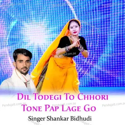 Dil Todegi To Chhori Tone Pap Lage Go - Shankar Bidhudi album cover 