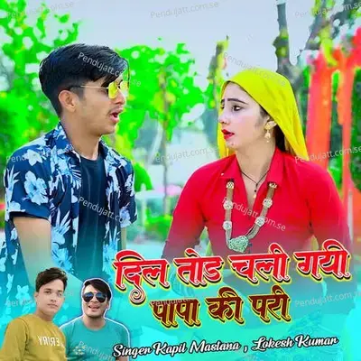 Dil Todke Chali Gayi Papa Ki Pari - Lokesh Kumar album cover 