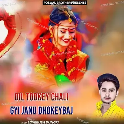 Dil Todkey Chali Gyi Janu Dhokeybaj - Lovekush Dungri
