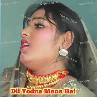 Dil Todna Mana Hai - Sahil Sayar Sakras album cover 