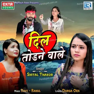 Dil Todne Wale - Shital Thakor album cover 