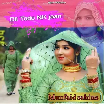 Dil Todo Nk Jaan - Munfaid sahina album cover 