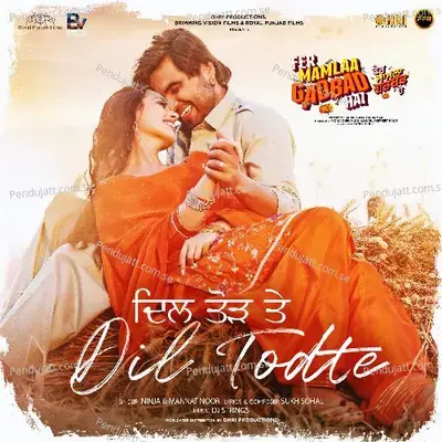 Dil Todte - Ninja album cover 