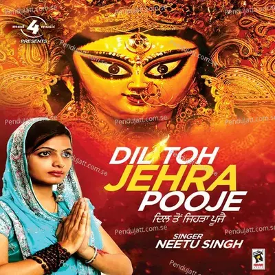 Dil Toh Jehra Pooje - Neetu Singh album cover 