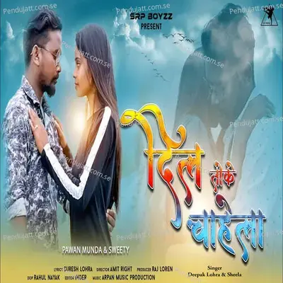 Dil Toke Chahela - Deepak Lohra album cover 